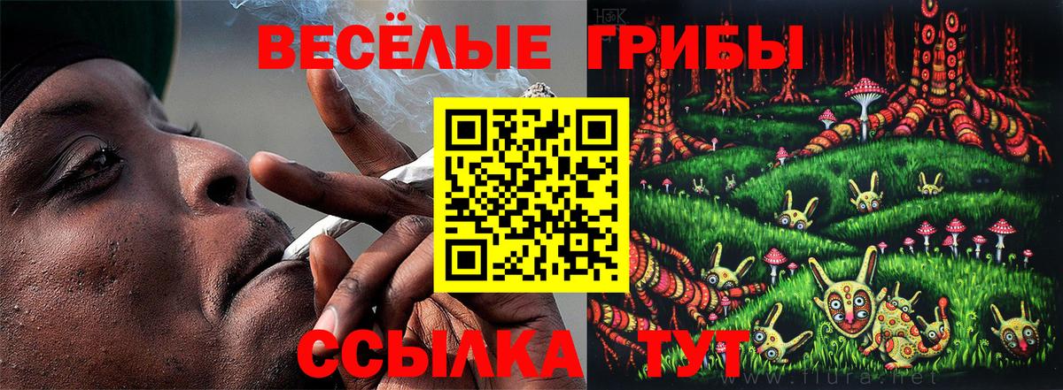Псилоцибиновые грибы мицелий Долгопрудный