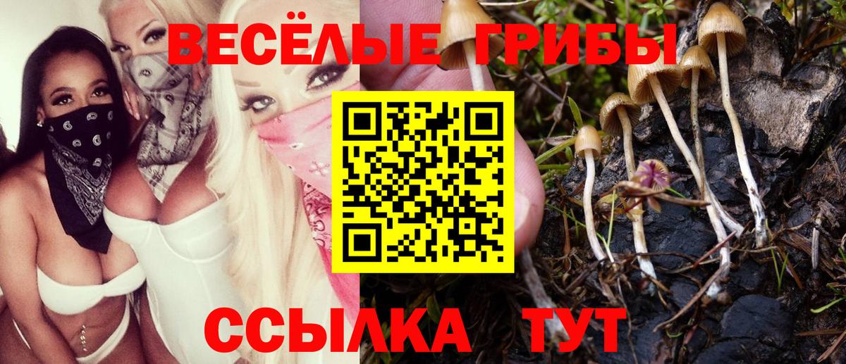 Долгопрудный  Галлюциногенные грибы GOLDEN TEACHER  Вход с VPN 